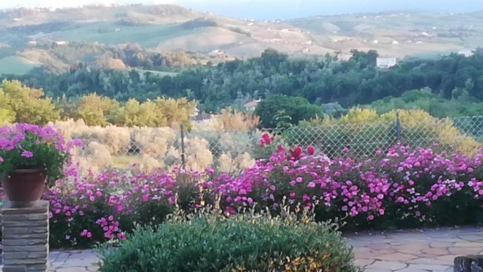 Anthos Casa Vacanze Sant'Omero エクステリア 写真